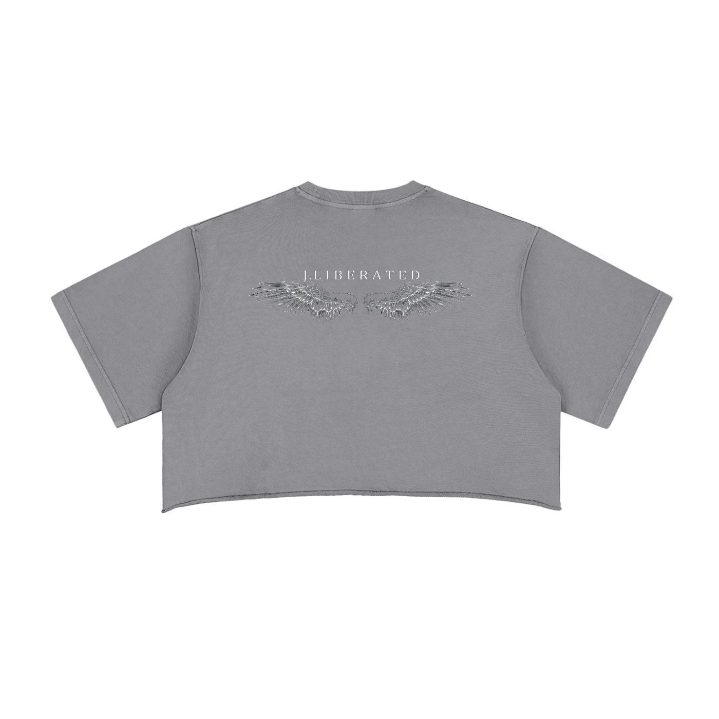 Snow Washed Raw Edge Crop Top